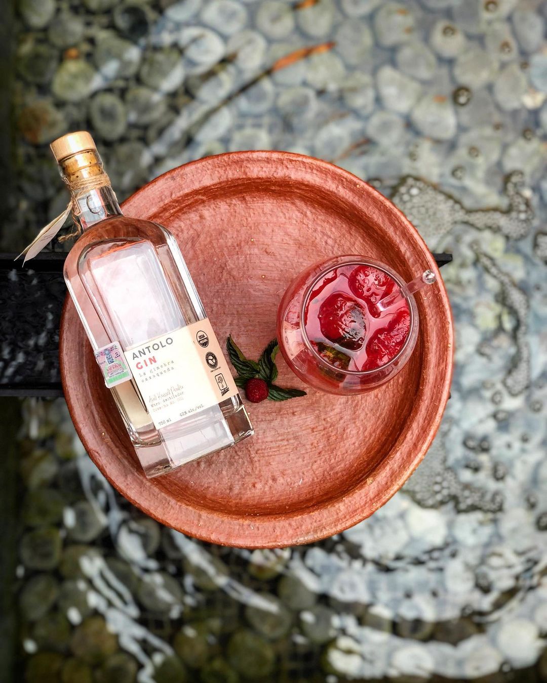 AntoloGin Ginebra Orgánica 750 ml